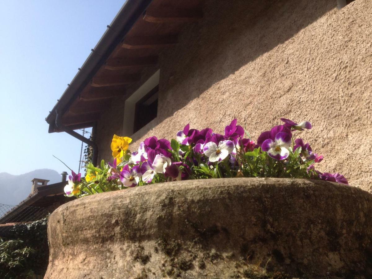 La Tana Del Ghiro Bed and Breakfast Porto Valtravaglia Exteriör bild